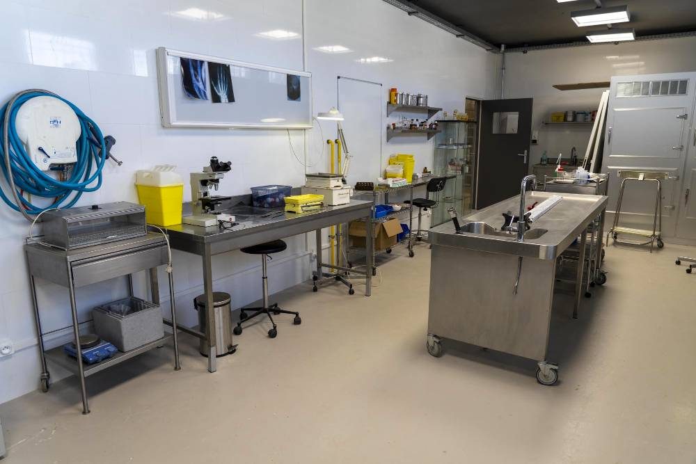 visite_tournage_serie_tom_et_lola_la_seyne_fr_34